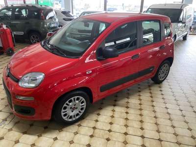 Fiat Panda 1.0 FireFly S&S Hybrid Rosso usata Soave