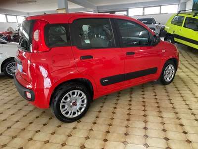 Fiat Panda 1.0 FireFly S&S Hybrid Rosso usata Soave