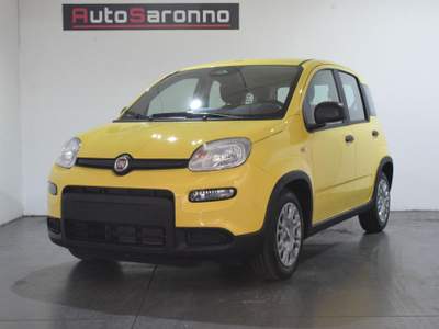 Fiat Panda 1.0 FireFly S&S Hybrid Pandina Giallo usata SARONNO