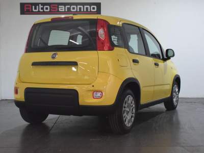 Fiat Panda 1.0 FireFly S&S Hybrid Pandina Giallo usata SARONNO