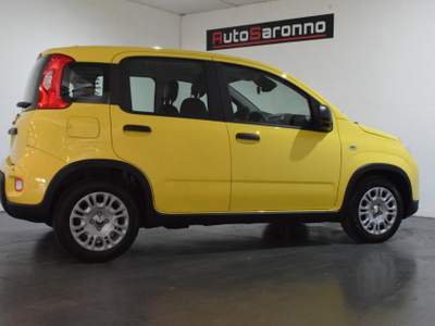 Fiat Panda 1.0 FireFly S&S Hybrid Pandina Giallo usata SARONNO