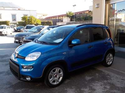 Fiat Panda MY25 - 1.0 FireFly Hybrid POP usata TORRE DEL GRECO