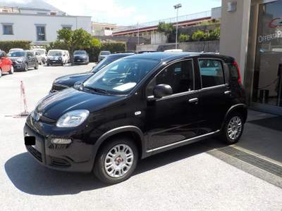 Fiat Panda MY25 - 1.0 FireFly Hybrid POP usata TORRE DEL GRECO