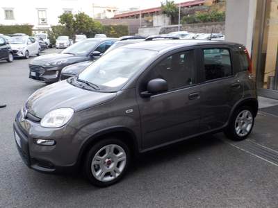Fiat Panda MY25 - 1.0 FireFly Hybrid POP usata TORRE DEL GRECO