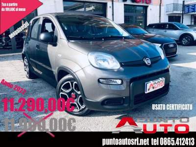 Fiat Panda 1.0 FireFly S&S Hybrid City Life Grigio usata Isernia