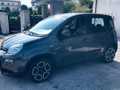Fiat Panda 1.0 FireFly S&S Hybrid City Life Grigio usata Isernia