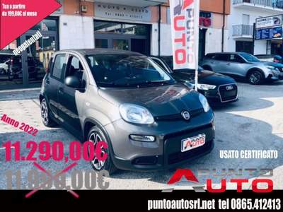 Fiat Panda 1.0 FireFly S&S Hybrid City Life Grigio usata Isernia
