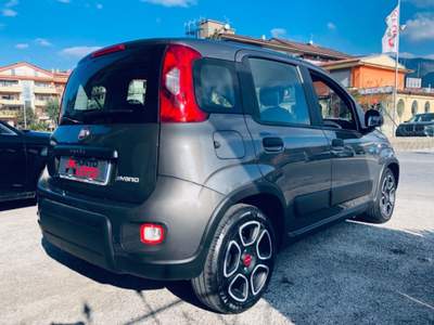 Fiat Panda 1.0 FireFly S&S Hybrid City Life Grigio usata Isernia
