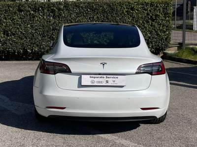Tesla Model 3 Standard Plus RWD 50 KWH Bianco usata Polla