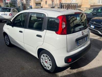 Fiat Panda 1.0 FireFly S&S Hybrid Bianco usata Alcamo