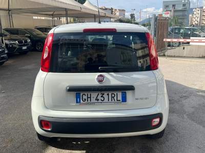 Fiat Panda 1.0 FireFly S&S Hybrid Bianco usata Alcamo