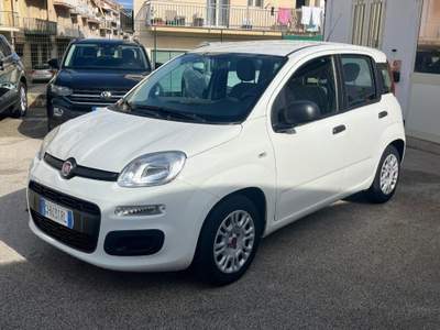 Fiat Panda 1.0 FireFly S&S Hybrid Bianco usata Alcamo