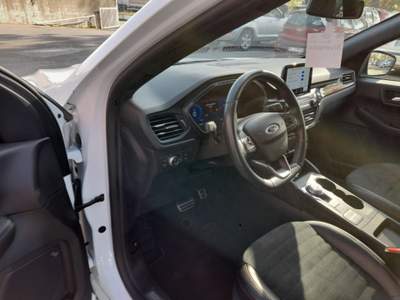 Ford Kuga 2.5 Plug In Hybrid 225 CV CVT 2WD ST-Line X Bianco usata Scarperia e San Piero