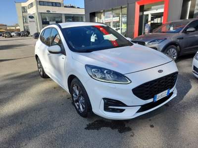 Ford Kuga 2.5 Plug In Hybrid 225 CV CVT 2WD ST-Line X Bianco usata Scarperia e San Piero