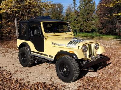 Jeep Renegade CJ 5 Bianco usata RONCADE