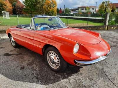 Alfa Romeo Spider 1600 Duetto Osso di Seppia Rosso usata RONCADE