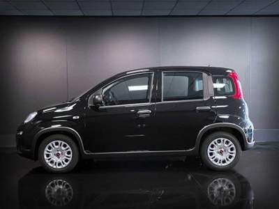 Fiat Panda 1.0 FireFly S&S Hybrid Nero usata Castelnuovo Rangone