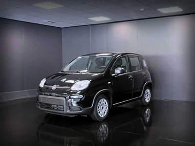 Fiat Panda 1.0 FireFly S&S Hybrid Nero usata Castelnuovo Rangone