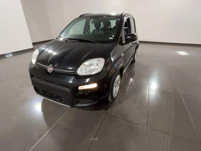 Fiat Panda 1.0 FireFly S&S Hybrid City Life Nero usata Civitavecchia