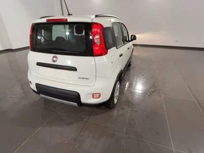 Fiat Panda 1.0 FireFly S&S Hybrid City Life Bianco usata Civitavecchia