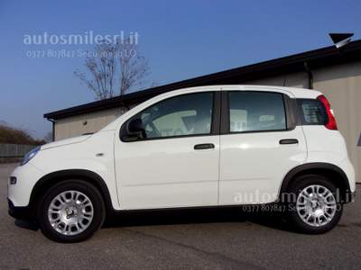 Fiat Panda 1.0 FireFly S&S Hybrid Pandina Bianco usata SECUGNAGO