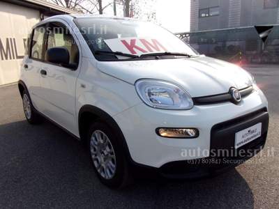 Fiat Panda 1.0 FireFly S&S Hybrid Pandina Bianco usata SECUGNAGO