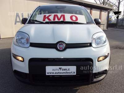 Fiat Panda 1.0 FireFly S&S Hybrid Pandina Bianco usata SECUGNAGO