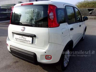 Fiat Panda 1.0 FireFly S&S Hybrid Pandina Bianco usata SECUGNAGO