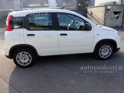 Fiat Panda 1.0 FireFly S&S Hybrid Pandina Bianco usata SECUGNAGO