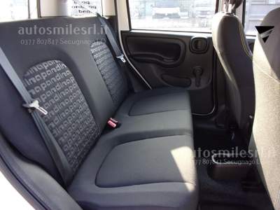Fiat Panda 1.0 FireFly S&S Hybrid Pandina Bianco usata SECUGNAGO