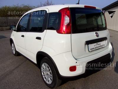 Fiat Panda 1.0 FireFly S&S Hybrid Pandina Bianco usata SECUGNAGO
