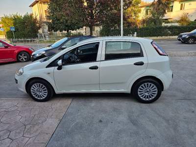 Fiat Punto Evo 1.3 Mjt 75 CV 5 porte  OK NEOPATENTATI Bianco usata Vigonovo