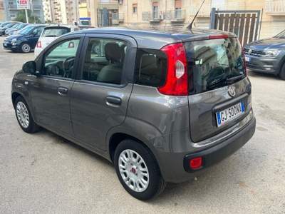 Fiat Panda 1.0 FireFly S&S Hybrid Grigio usata Alcamo