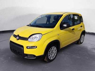 Fiat Panda 1.0 70cv Hybrid Giallo usata Arzachena