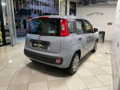 Fiat Panda 1.2 Easy 69cv EURO6 Grigio usata Mesagne