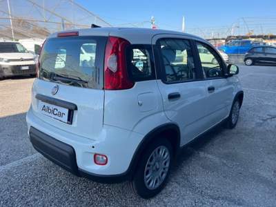 Fiat Panda 1.0 FireFly S&S Hybrid Pandina Bianco usata Albignasego