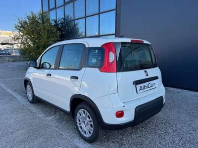 Fiat Panda 1.0 FireFly S&S Hybrid Pandina Bianco usata Albignasego