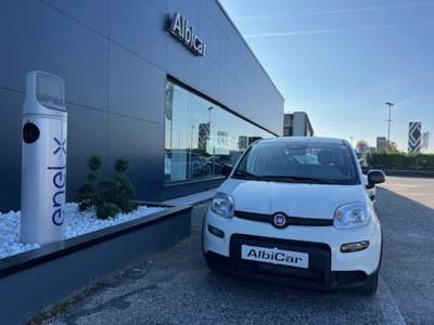 Fiat Panda 1.0 FireFly S&S Hybrid Pandina Bianco usata Albignasego