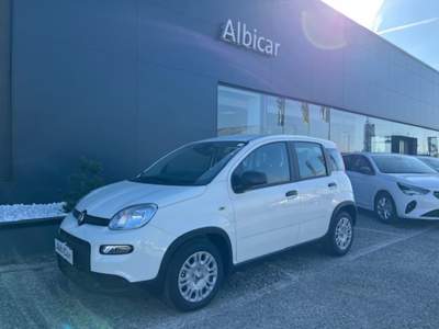 Fiat Panda 1.0 FireFly S&S Hybrid Pandina Bianco usata Albignasego