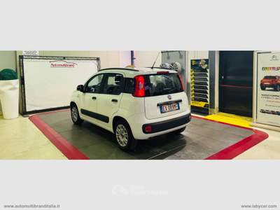 Fiat Panda Panda 1.2 Lounge Bianco usata Venezia