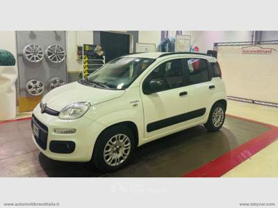 Fiat Panda Panda 1.2 Lounge Bianco usata Venezia