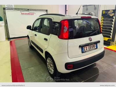Fiat Panda Panda 1.2 Lounge Bianco usata Venezia
