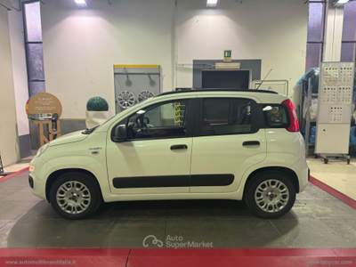 Fiat Panda Panda 1.2 Lounge Bianco usata Venezia