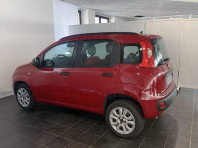 Fiat Panda 0.9 TwinAir Turbo Natural Power Easy Lilla usata Torino