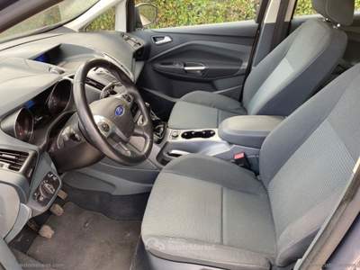 Ford C-Max C-Max 1.0 EcoBoost 125 CV S&S Plus Grigio usata SAN GIULIANO TERME