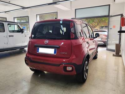 Fiat Panda 1.0 FireFly S&S Hybrid Rosso usata Palermo