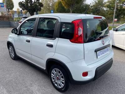 Fiat Panda 1.0 firefly hybrid s Bianco usata Oderzo