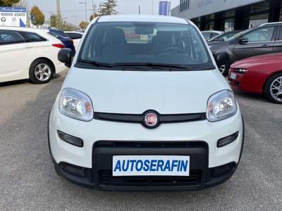 Fiat Panda 1.0 firefly hybrid s Bianco usata Oderzo