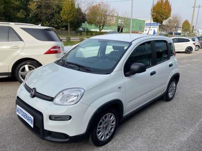 Fiat Panda 1.0 firefly hybrid s Bianco usata Oderzo