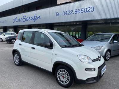 Fiat Panda 1.0 firefly hybrid s Bianco usata Oderzo